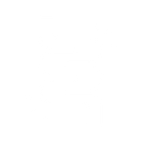 Heal Gut*